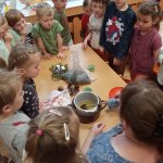 phoca_thumb_m_zajci a krmtko 2 Fotogalerie